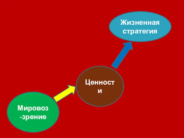 Мировоз-зрение Ценности Жизненная стратегия