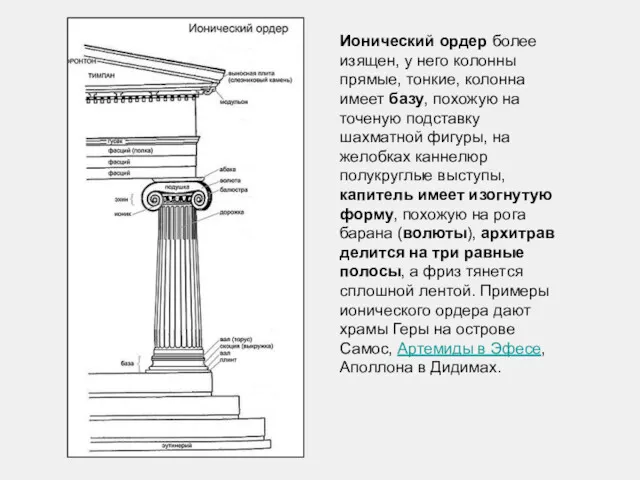 Ионический ордер более изящен, у него колонны прямые, тонкие, колонна