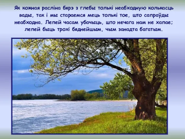 Як кожная раслiна бярэ з глебы толькі неабходную колькасць вады,