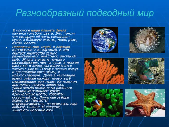 Разнообразный подводный мир В космосе наша планета Земля кажется голубого