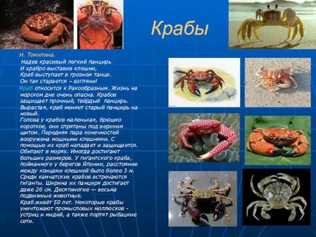 Крабы Н. Томилина. Надев красивый легкий панцирь И храбро выставив