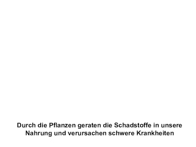 Durch die Pflanzen geraten die Schadstoffe in unsere Nahrung und verursachen schwere Krankheiten