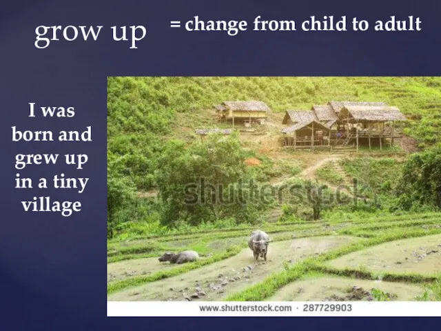 grow up = change from child to adult I was