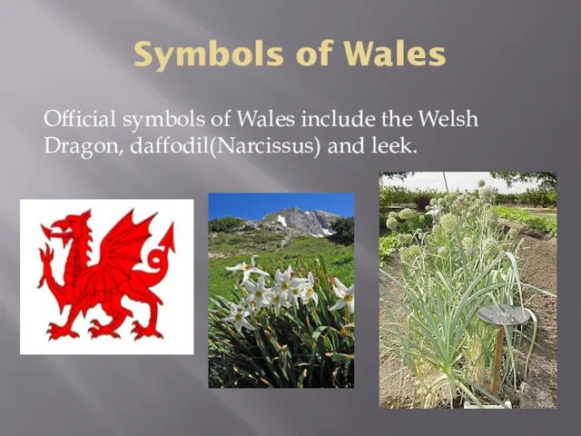 Symbols of Wales Official symbols of Wales include the Welsh Dragon, daffodil(Narcissus) and leek.