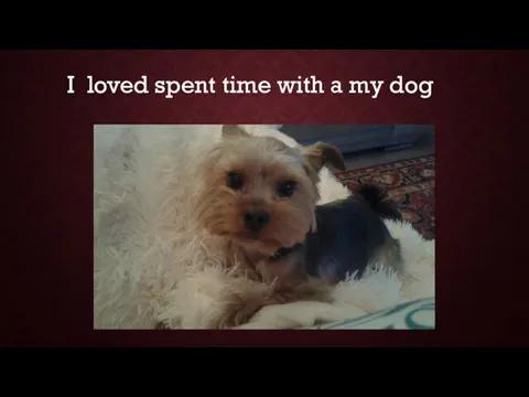 I loved spent time with a my dog