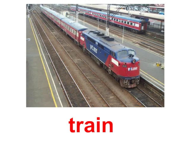 train