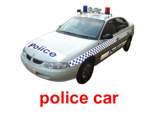 police car