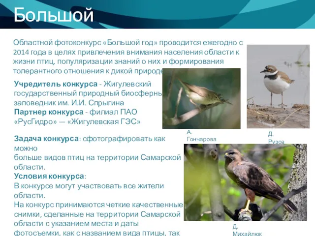 Большой год Учредитель конкурса - Жигулевский государственный природный биосферный заповедник