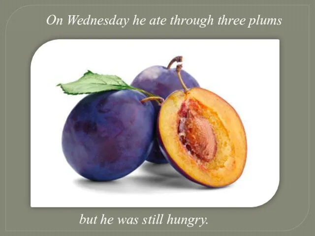 On Wednesday he ate through three plums but he was still hungry.