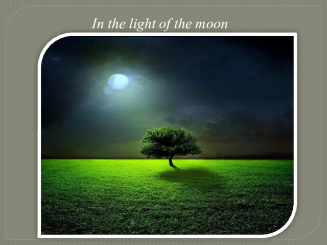 In the light of the moon