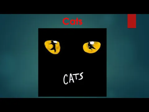 Cats