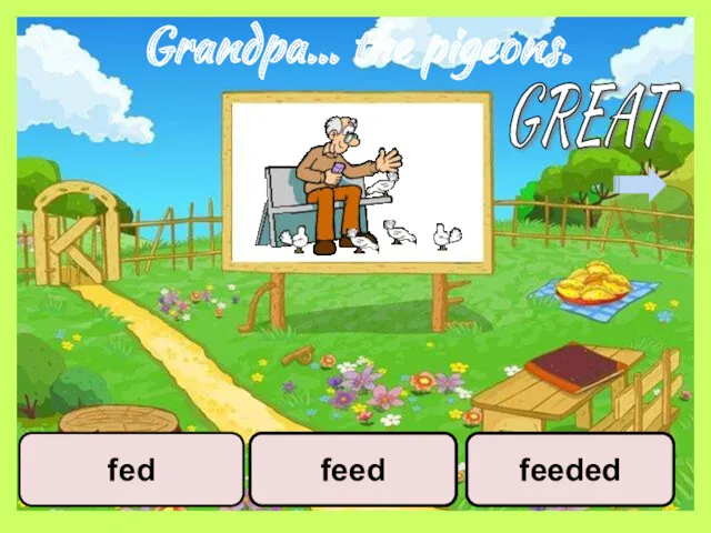 Grandpa… the pigeons. feed fed feeded GREAT