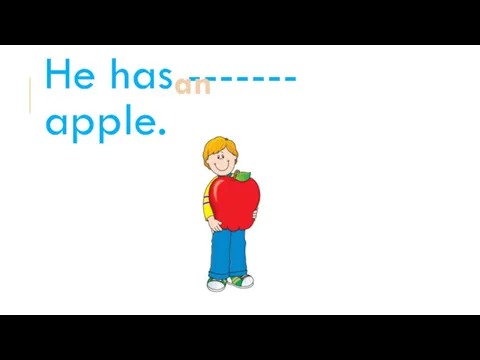 He has ------- apple. an