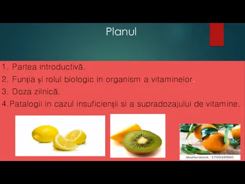 Planul 1. Partea introductivă. 2. Funția și rolul biologic in organism a vitaminelor.