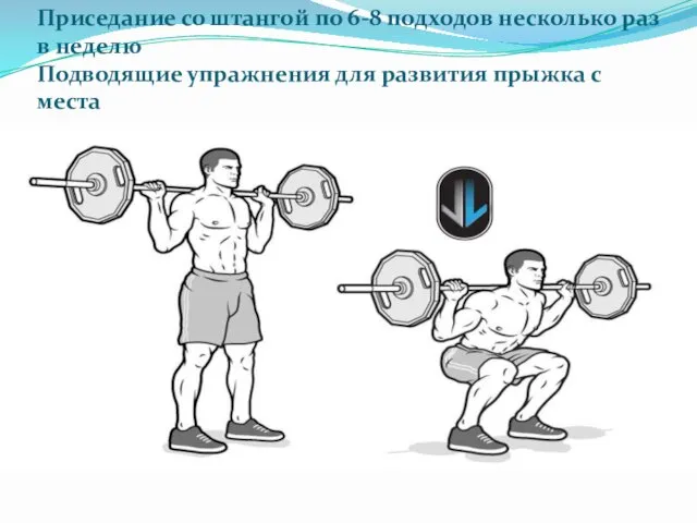 Приседание со штангой по 6-8 подходов несколько раз в неделю