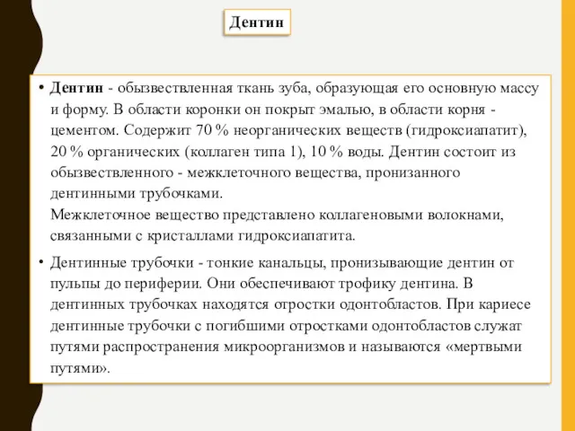 Дентин - обызвествленная ткань зуба, образующая его основную массу и