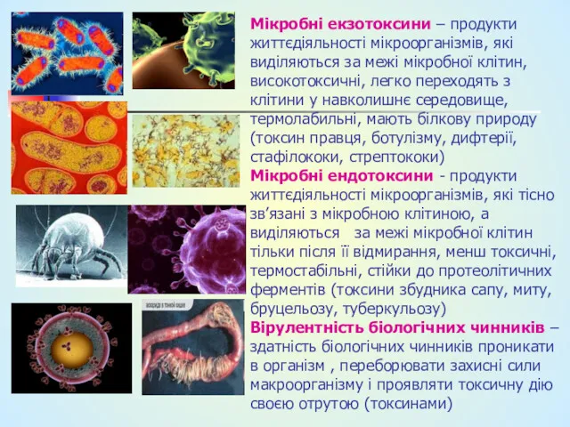 Мікробні екзотоксини – продукти життєдіяльності мікроорганізмів, які виділяються за межі