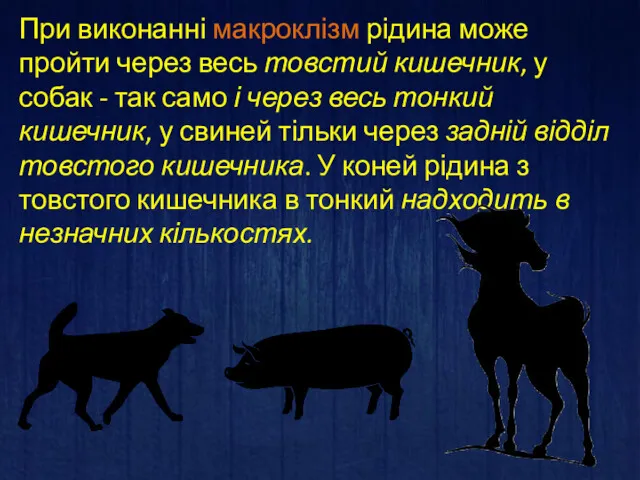 При виконанні макроклізм рідина може пройти через весь товстий кишечник,