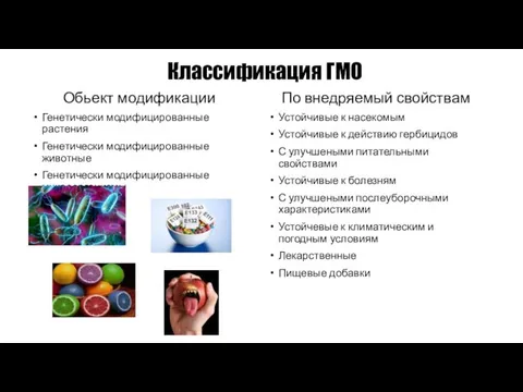 Классификация ГМО Обьект модификации Генетически модифицированные растения Генетически модифицированные животные