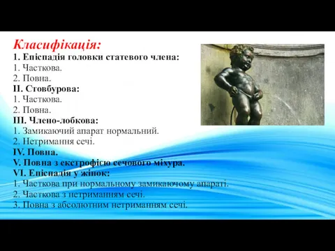 Класифікація: 1. Епіспадія головки статевого члена: 1. Часткова. 2. Повна.