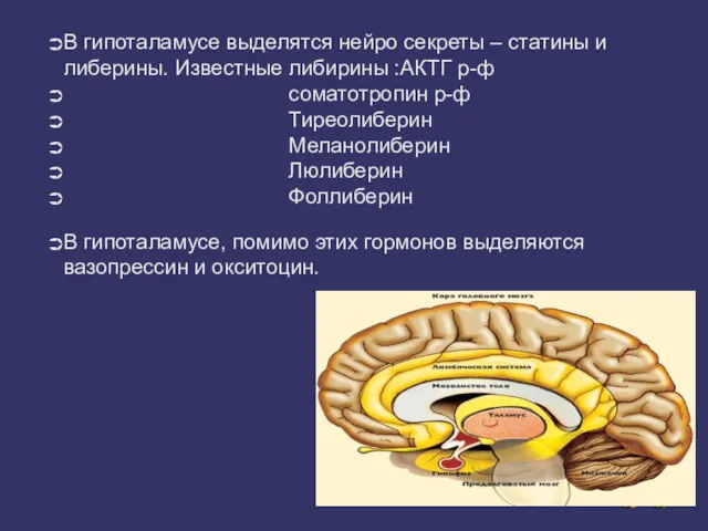 В гипоталамусе выделятся нейро секреты – статины и либерины. Известные либирины :АКТГ р-ф