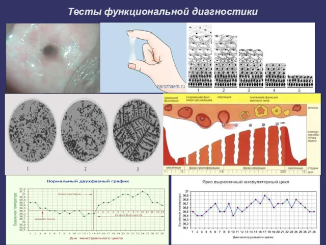 Тесты функциональной диагностики