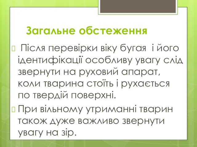 Загальне обстеження Після перевірки віку бугая і його ідентифікації особливу