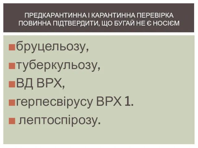 бруцельозу, туберкульозу, ВД ВРХ, герпесвірусу ВРХ 1. лептоспірозу. ПРЕДКАРАНТИННА І