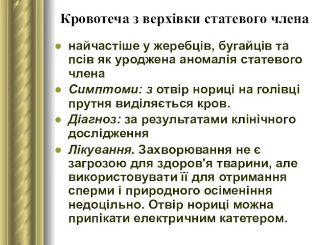 Кровотеча з верхівки статевого члена найчастіше у жеребців, бугайців та