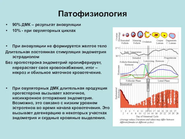 Патофизиология 90% ДМК – результат ановуляции 10% - при овуляторных