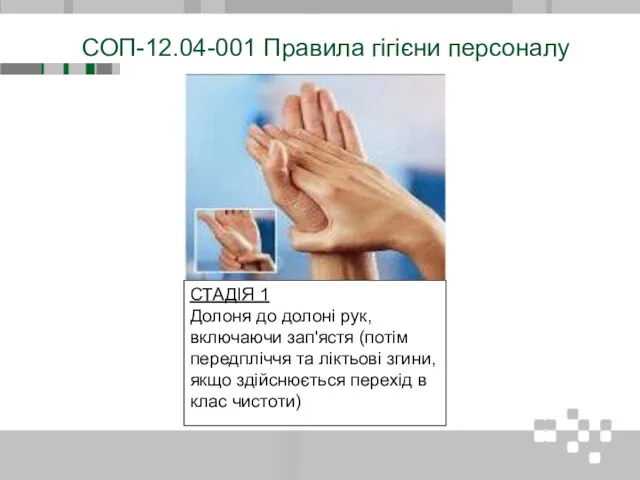 СОП-12.04-001 Правила гігієни персоналу СТАДІЯ 1 Долоня до долоні рук, включаючи зап'ястя (потім
