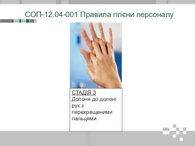 СОП-12.04-001 Правила гігієни персоналу СТАДІЯ 3 Долоня до долоні рук з перехрещеними пальцями