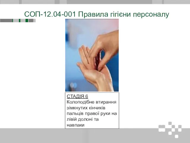 СОП-12.04-001 Правила гігієни персоналу СТАДІЯ 6 Колоподібне втирання зімкнутих кінчиків пальців правої руки