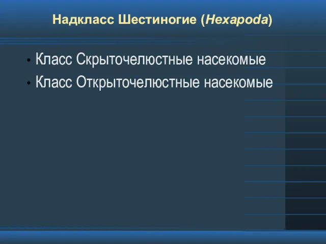 Надкласс Шестиногие (Hexapoda) Класс Скрыточелюстные насекомые Класс Открыточелюстные насекомые