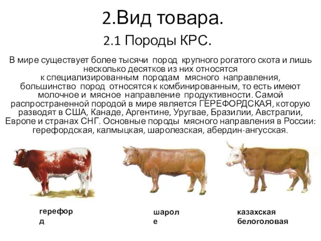 2.Вид товара. В мире существует более тысячи пород крупного рогатого