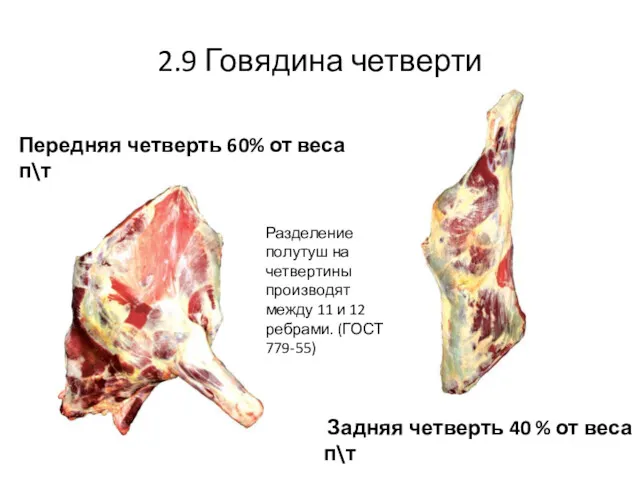 2.9 Говядина четверти Задняя четверть 40 % от веса п\т