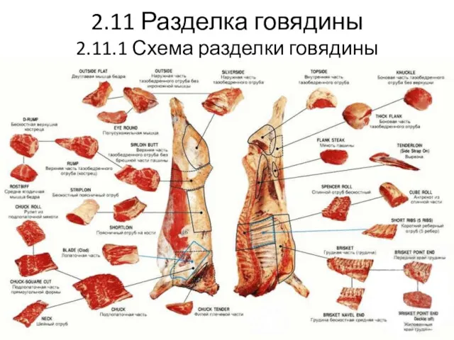 2.11 Разделка говядины 2.11.1 Схема разделки говядины