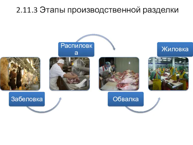 2.11.3 Этапы производственной разделки