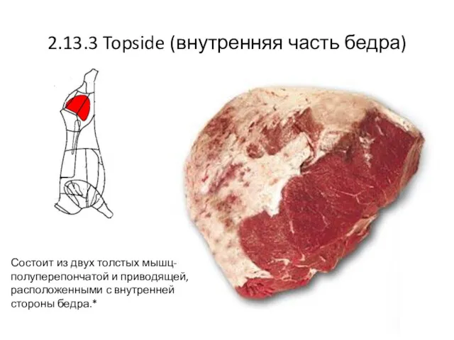 2.13.3 Topside (внутренняя часть бедра) Состоит из двух толстых мышц-полуперепончатой