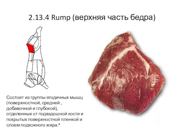 2.13.4 Rump (верхняя часть бедра) Состоит из группы ягодичных мышц(поверхностной,