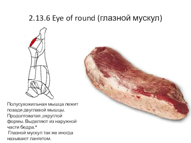 2.13.6 Eye of round (глазной мускул) Полусухожильная мышца лежит позади