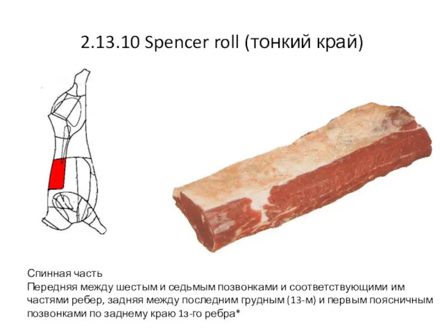 2.13.10 Spencer roll (тонкий край) Спинная часть Передняя между шестым