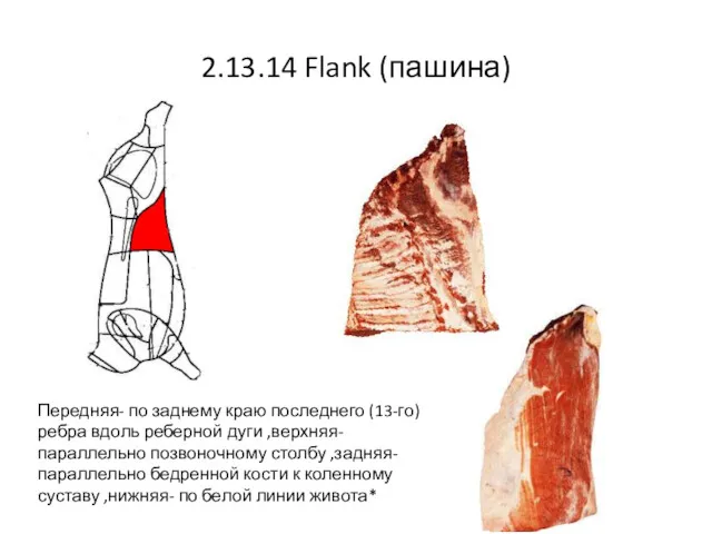 2.13.14 Flank (пашина) Передняя- по заднему краю последнего (13-го) ребра