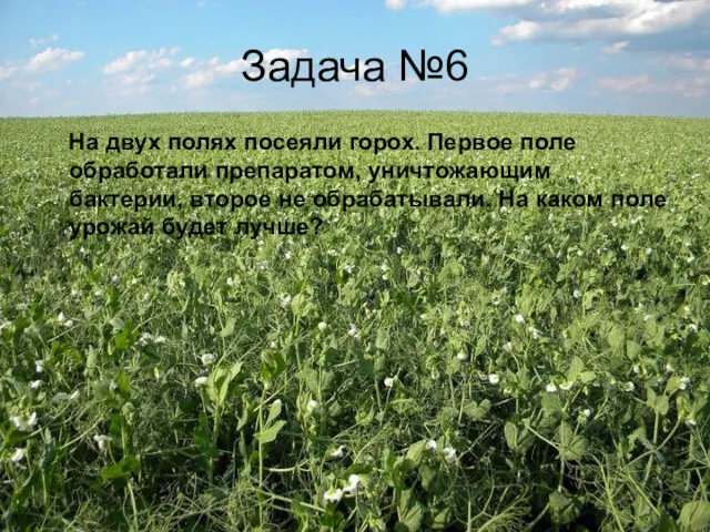 Задача №6 На двух полях посеяли горох. Первое поле обработали препаратом, уничтожающим бактерии,