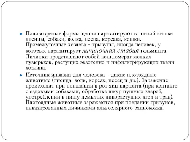 Половозрелые формы цепня паразитируют в тонкой кишке лисицы, собаки, волка,