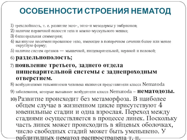 ОСОБЕННОСТИ СТРОЕНИЯ НЕМАТОД 1) трехслойность, т. е. развитие экто-, энто-и