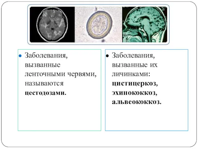 Заболевания, вызванные ленточными червями, называются цестодозами. Заболевания, вызванные их личинками: цистицеркоз, эхинококкоз, альвеококкоз.