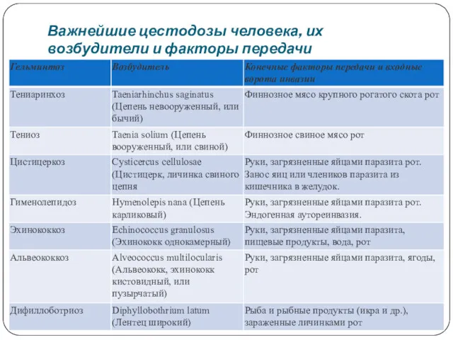 Важнейшие цестодозы человека, их возбудители и факторы передачи