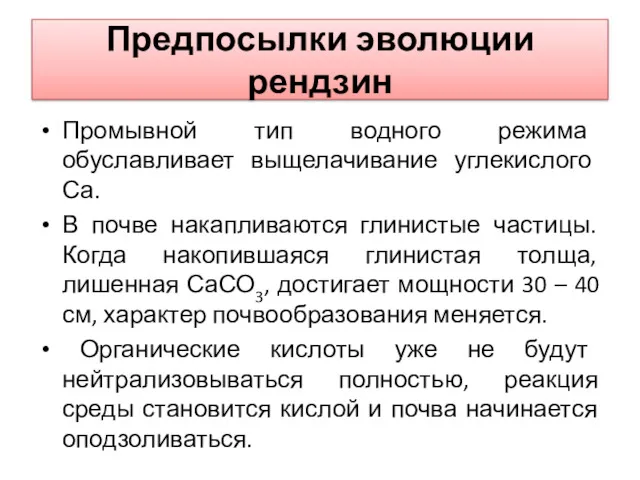 Предпосылки эволюции рендзин Промывной тип водного режима обуславливает выщелачивание углекислого