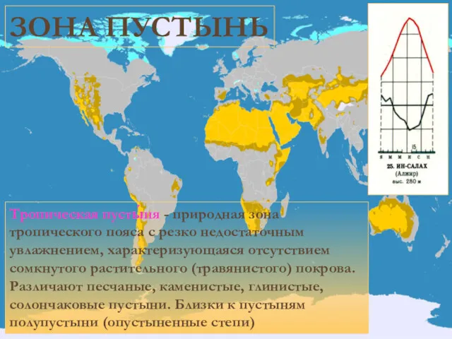 ЗОНА СМЕШАННЫХ И ШИРОКОЛИСТВЕННЫХ ЛЕСОВ Тропическая пусты́ня - природная зона